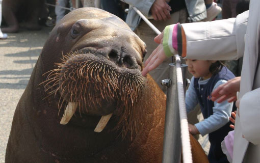 大分マリーンパレス水族館「うみたまご」