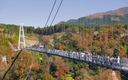 九重“夢”大吊橋